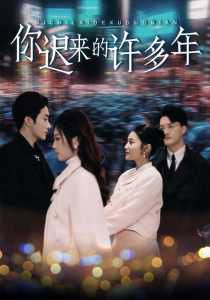 你迟来的许多年高清播放
