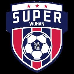武汉城市足球超级联赛 蔡甸区2.1汉阳区20250829
