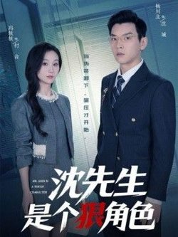 沈先生是个狠角色在线观看