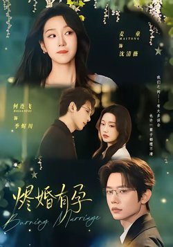 烬婚有孕高清播放