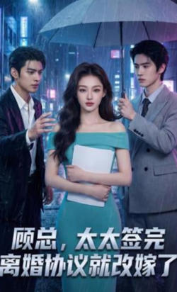 顾总,太太签完离婚协议就改嫁了