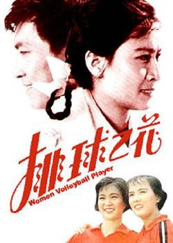 排球之花高清播放