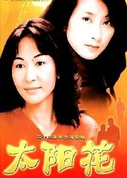 太阳花2002高清播放