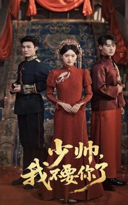 少帅我不要你了高清播放