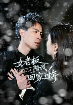 女老板陪我回家过年高清播放