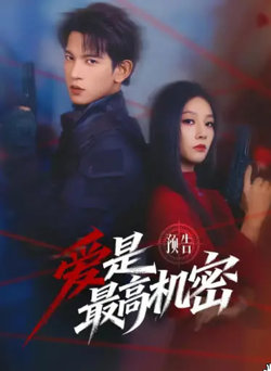 爱是最高机密高清播放