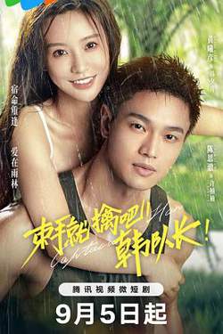束手就擒吧！韩队长高清播放