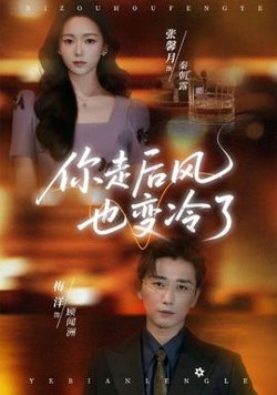 你走后风也变冷了高清播放