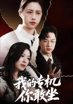 我的专机你敢坐