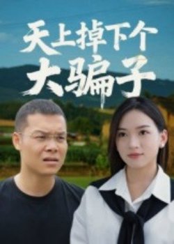 天上掉下个大骗子高清播放