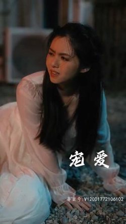 宠爱短剧版在线观看
