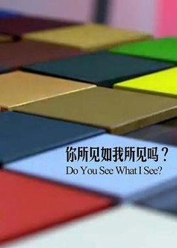 你所见如我所见吗高清播放