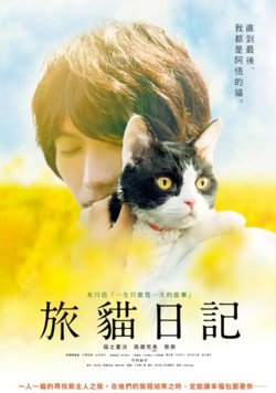 旅猫日记高清播放