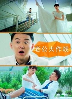 老公大作战高清播放