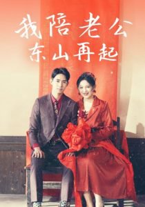 我陪老公东山再起在线观看