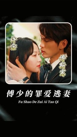 傅少的罪爱逃妻在线观看