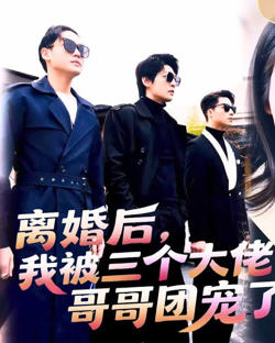 离婚后我带三胞胎嫁给了大佬