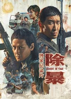 除暴·独家纪录片高清播放