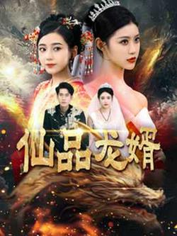 仙品龙婿高清播放