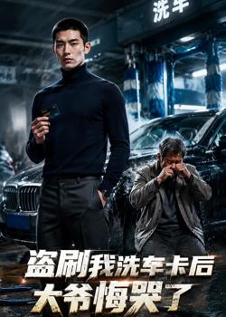 盗刷我洗车卡后,大爷悔哭了在线观看