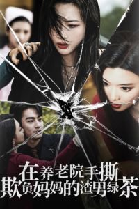 在养老院手撕欺负妈妈的渣男绿茶高清播放