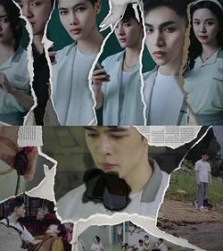 校园法官在线观看