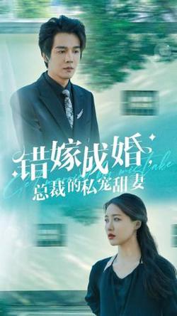 错嫁成婚总裁的私宠甜妻高清播放