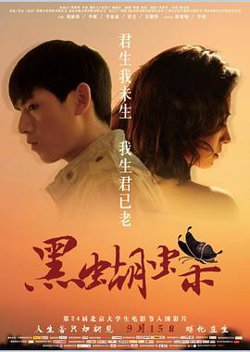 黑蝴蝶高清播放