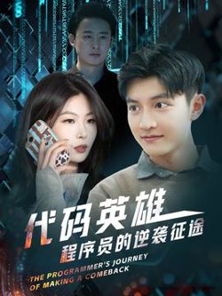 代码英雄程序员的逆袭征途在线观看