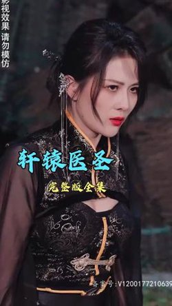 轩辕医圣高清播放