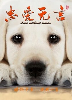 忠爱无言高清播放