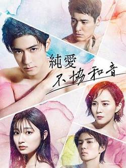 纯爱不和谐音高清播放