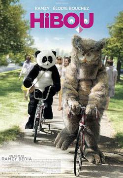猫头鹰高清播放