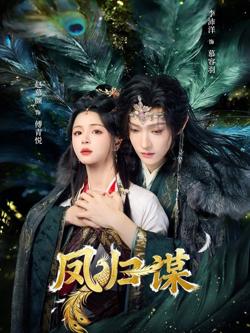 凤归谋高清播放