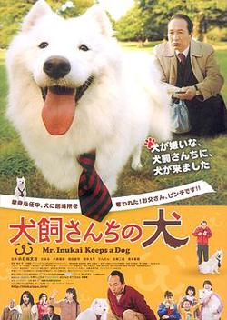 犬饲先生养狗记高清播放