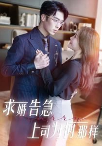 求婚告急上司为何那样高清播放