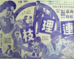 连理枝1960在线观看
