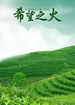西游超级粉在线观看