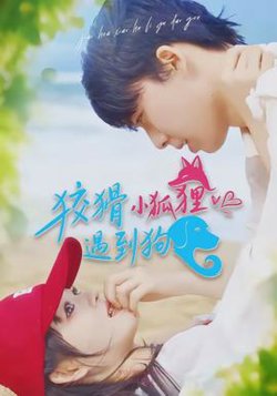 狡猾小狐狸遇到狗高清播放