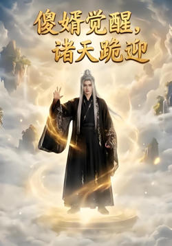 傻婿觉醒，诸天跪迎