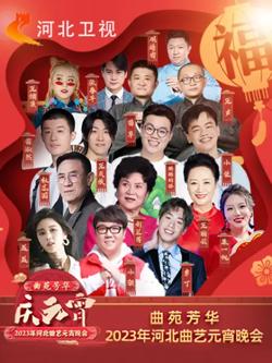 2023年河北卫视元宵晚会