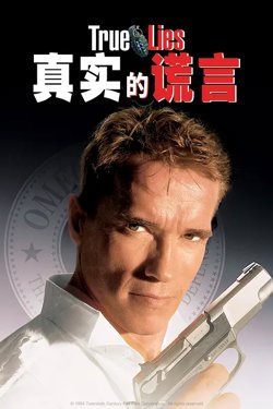 真实的谎言 【影视解说】高清播放