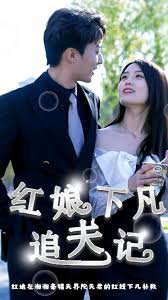 红娘下凡追夫记
