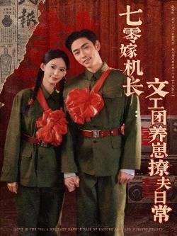 七零嫁机长文工团养崽撩夫日常高清播放