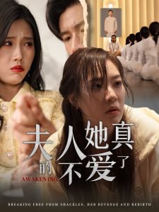 夫人她真的不爱了高清播放