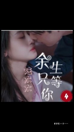 陆太太，余生只等你在线观看