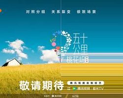 五十公里桃花坞 第五季在线观看