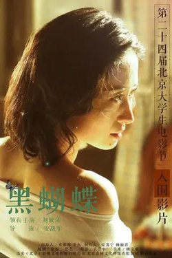 黑蝴蝶【影视解说】高清播放