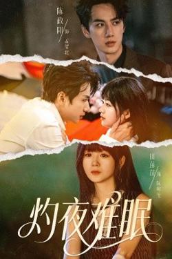 灼夜难眠在线观看