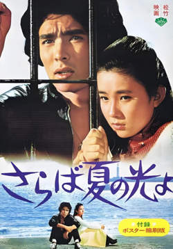 再见，夏日之光高清播放